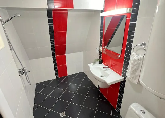 Lotus * 圣弗拉斯